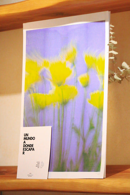 Tulipanes